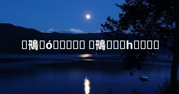 �鳵�ó��۸�� �鳵�۸�һ����